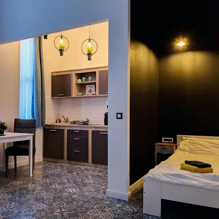 Paris 17 Micro Apartment Cluj-Napoca